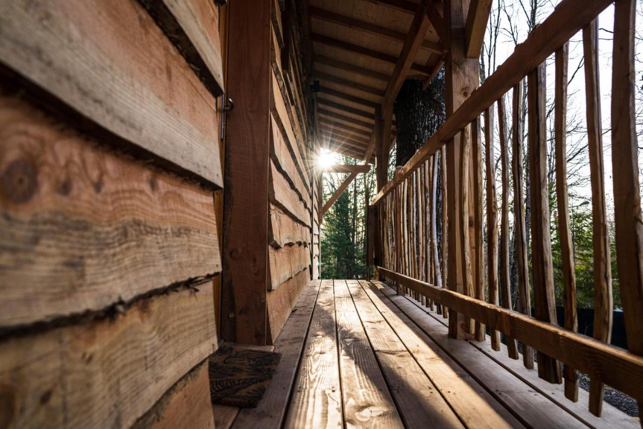 Charmante Cabane Dans Les Arbres Avec Jacuzzi Et Sauna Boismorand Exterior foto