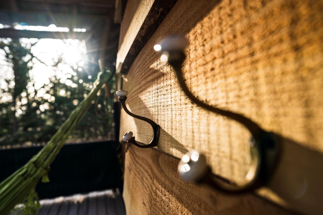 Charmante Cabane Dans Les Arbres Avec Jacuzzi Et Sauna Boismorand Exterior foto