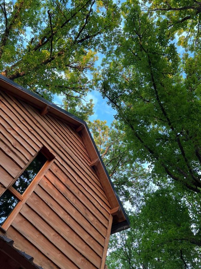 Charmante Cabane Dans Les Arbres Avec Jacuzzi Et Sauna Boismorand Exterior foto