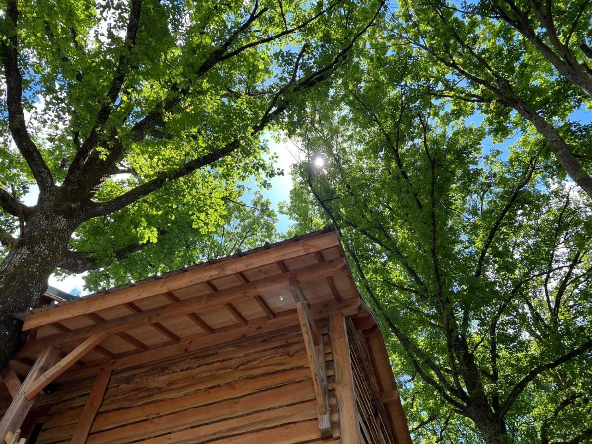 Charmante Cabane Dans Les Arbres Avec Jacuzzi Et Sauna Boismorand Exterior foto
