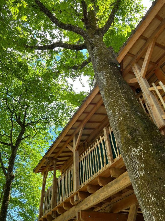 Charmante Cabane Dans Les Arbres Avec Jacuzzi Et Sauna Boismorand Exterior foto