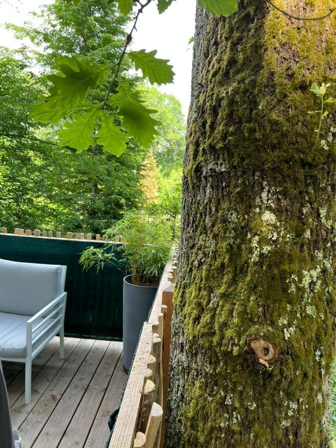 Charmante Cabane Dans Les Arbres Avec Jacuzzi Et Sauna Boismorand Exterior foto